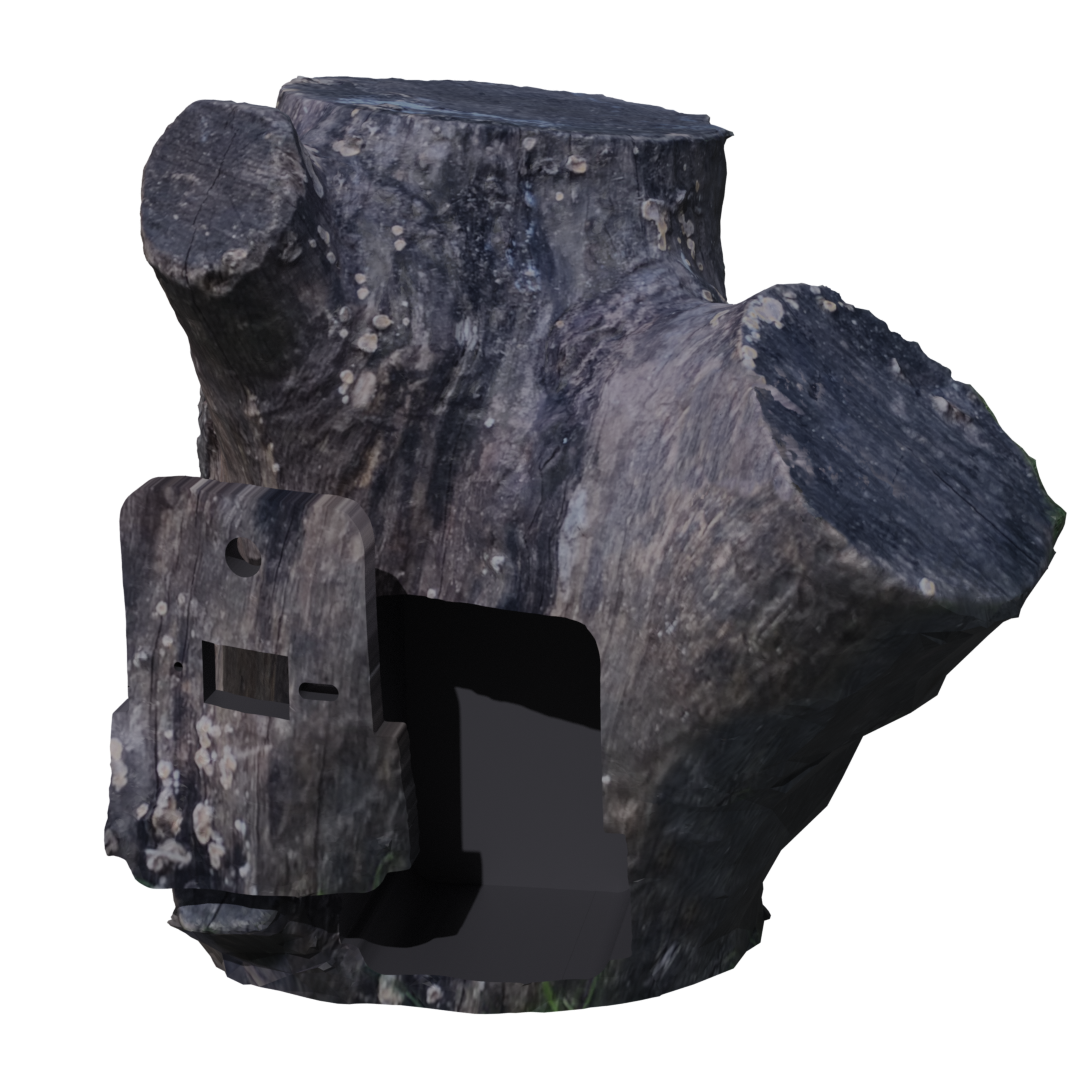 Image 8